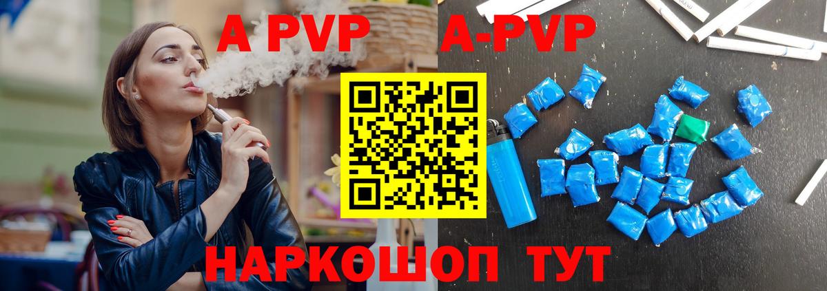 Альфа ПВП СК КРИС Великий Новгород