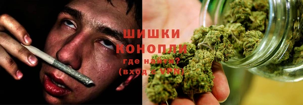 сатива Абаза