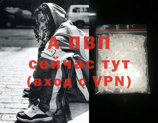 сатива Абаза